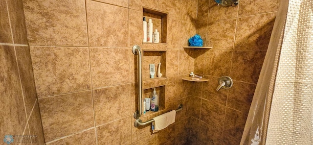 29972 293rd St, Little Elbow Twp, MN 56589 - bathroom view of tiled shower