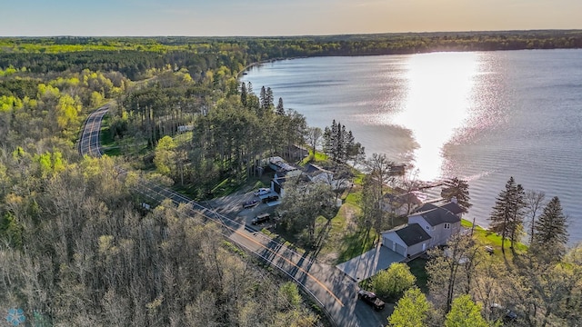 29972 293rd St, Little Elbow Twp, MN 56589 - drone / aerial view of a forest and a nearby body of water