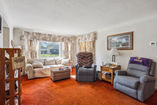 6021 10th Ave S, Minneapolis, MN 55417 - carpeted living room with a textured ceiling