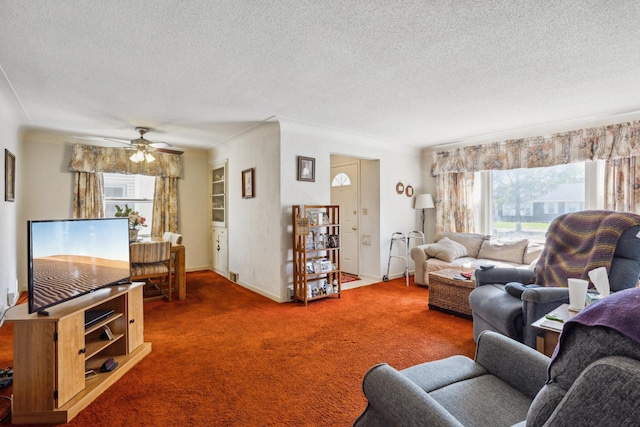 6021 10th Ave S, Minneapolis, MN 55417 - living room with healthy amount of natural light, a textured ceiling, carpet flooring, ceiling fan, and baseboards