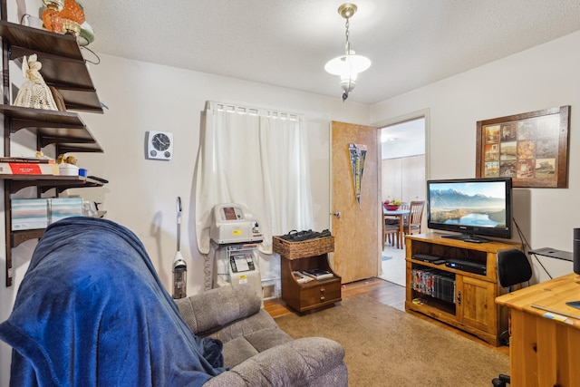 6021 10th Ave S, Minneapolis, MN 55417 - living room featuring wood finished floors