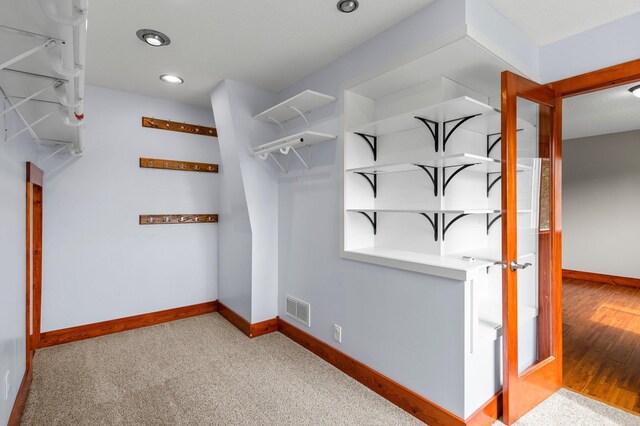 28008 Lake Diann Rd, Baldwin Twp, MN 55398 - view of walk in closet