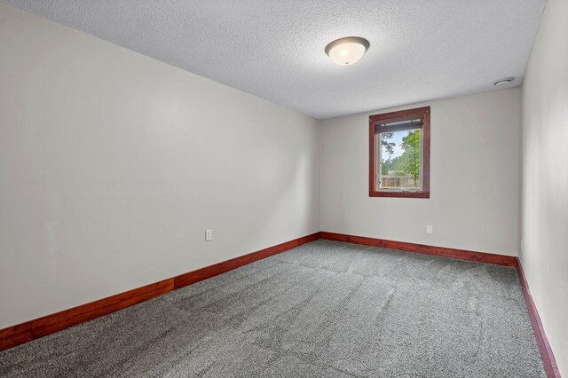 28008 Lake Diann Rd, Baldwin Twp, MN 55398 - empty room with carpet flooring and a textured ceiling