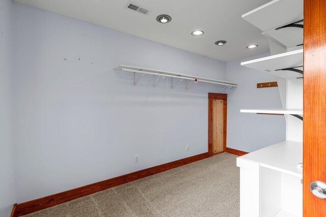28008 Lake Diann Rd, Baldwin Twp, MN 55398 - spacious closet featuring light colored carpet