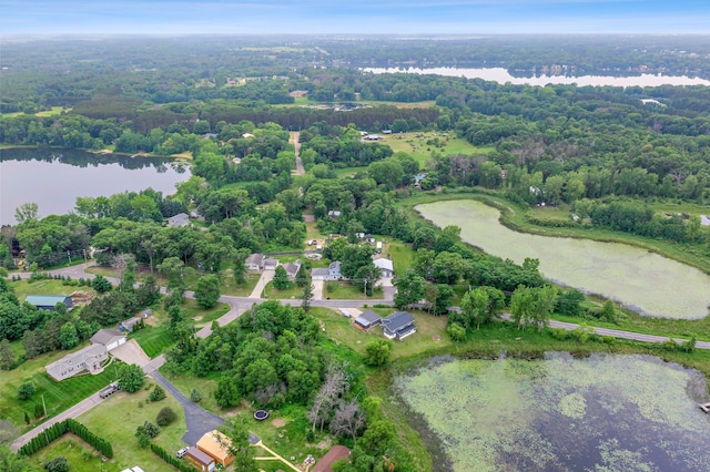 28008 Lake Diann Rd, Baldwin Twp, MN 55398 - aerial overview of property's location featuring a large body of water and a heavily wooded area