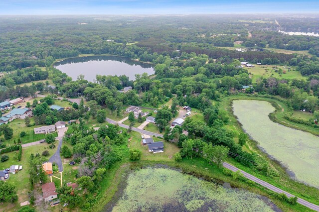 28008 Lake Diann Rd, Baldwin Twp, MN 55398 - aerial view of property and surrounding area with a nearby body of water and a forest