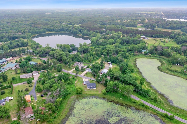 28008 Lake Diann Rd, Baldwin Twp, MN 55398 - photo 54