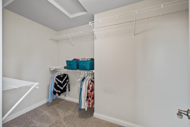 walk in closet with carpet flooring