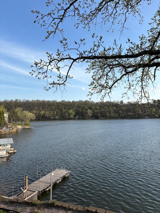 dock featuring a water view