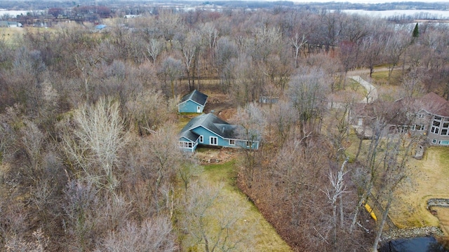 drone / aerial view