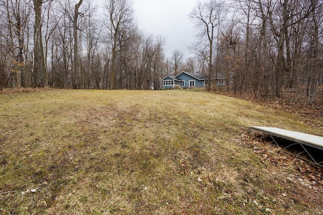 view of yard featuring a view of trees