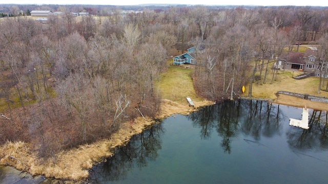 drone / aerial view with a water view and a wooded view