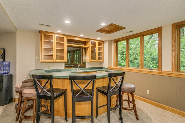 17 Lake Ct, North Oaks, MN 55127 - indoor wet bar featuring a textured ceiling, recessed lighting, and light colored carpet