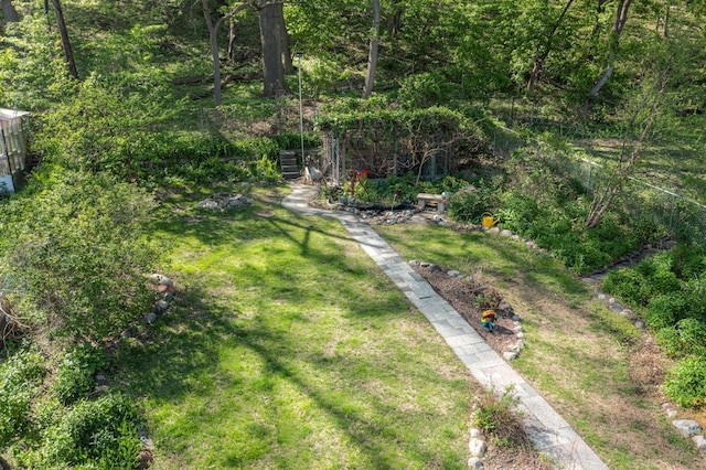 view of grassy yard