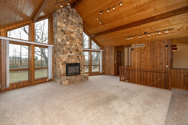 34126 County 115, Canton Twp, MN 55939 - unfurnished living room with track lighting, wooden ceiling, carpet flooring, beam ceiling, and wood walls