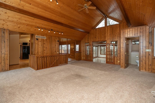 34126 County 115, Canton Twp, MN 55939 - unfurnished living room with rail lighting, wooden walls, carpet, a ceiling fan, and plenty of natural light
