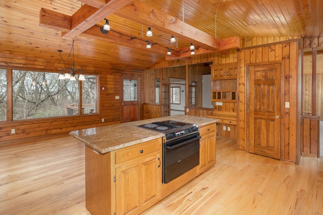 34126 County 115, Canton Twp, MN 55939 - kitchen featuring black range with electric cooktop, wooden walls, healthy amount of natural light, wooden ceiling, and light wood-type flooring