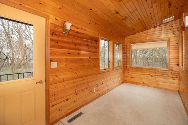 34126 County 115, Canton Twp, MN 55939 - unfurnished room with plenty of natural light, wood walls, carpet floors, and vaulted ceiling