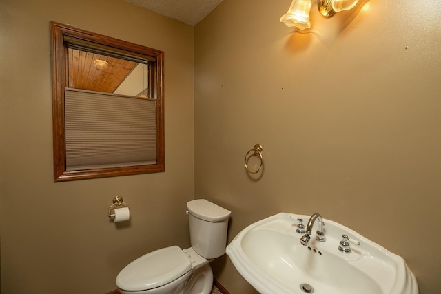 34126 County 115, Canton Twp, MN 55939 - bathroom with toilet and a sink