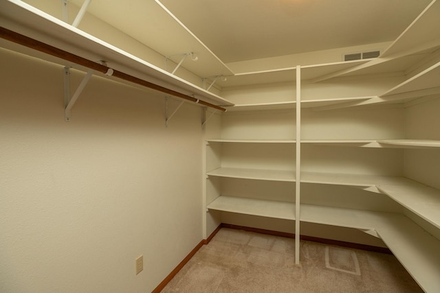 34126 County 115, Canton Twp, MN 55939 - walk in closet featuring carpet floors