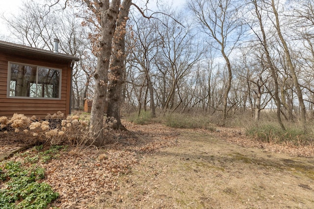 34126 County 115, Canton Twp, MN 55939 - view of yard