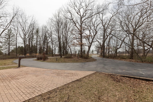 34126 County 115, Canton Twp, MN 55939 - view of street