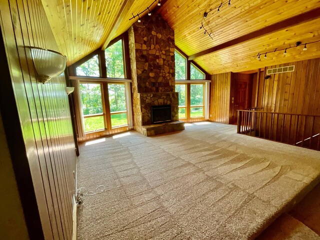 34126 County 115, Canton Twp, MN 55939 - photo 8
