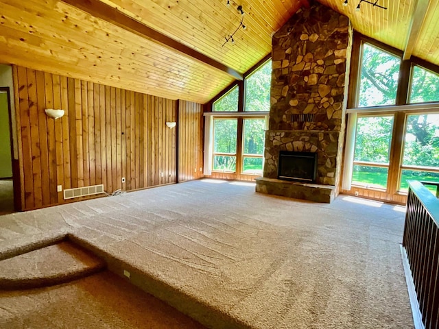 34126 County 115, Canton Twp, MN 55939 - photo 9