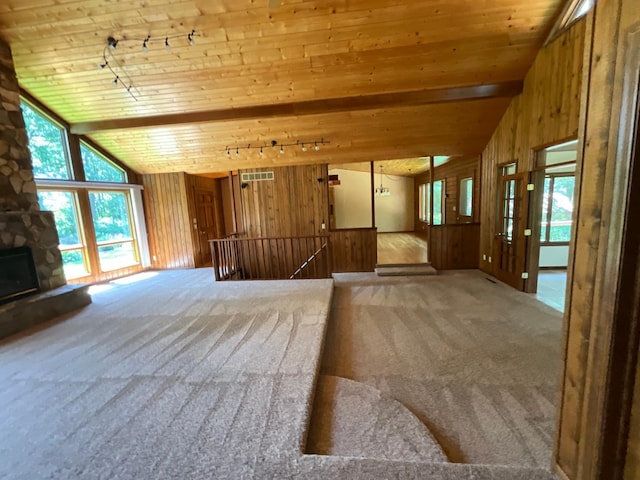 34126 County 115, Canton Twp, MN 55939 - photo 12