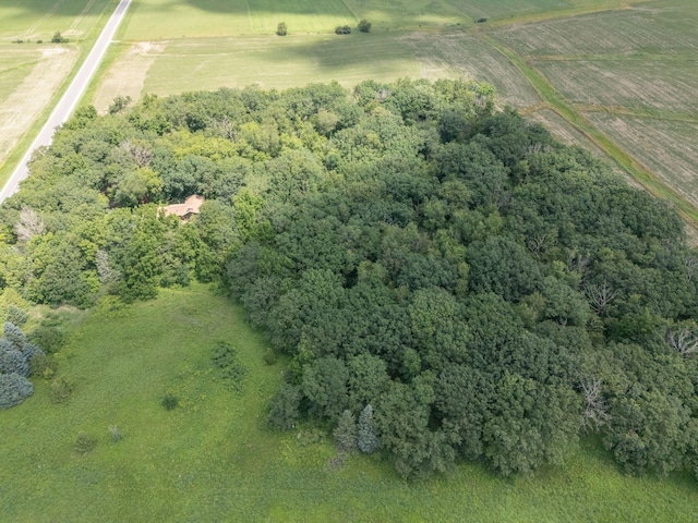 34126 County 115, Canton Twp, MN 55939 - photo 50