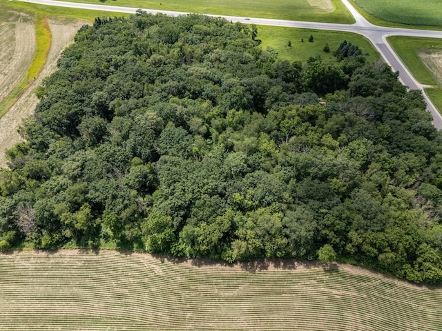 34126 County 115, Canton Twp, MN 55939 - photo 53