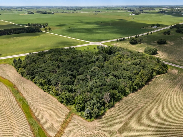 34126 County 115, Canton Twp, MN 55939 - photo 54