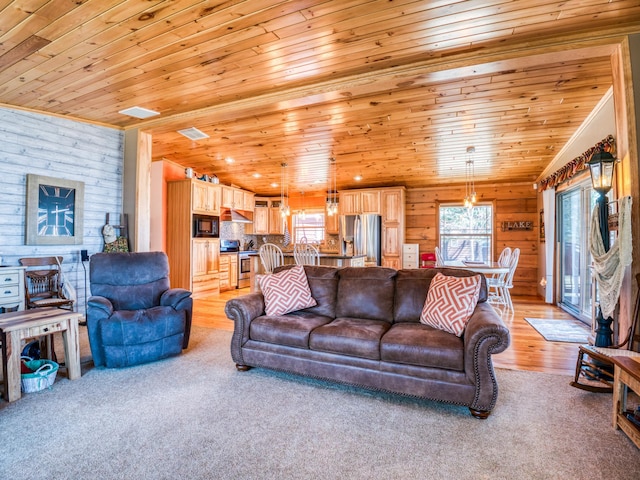 23660 Cap Endres Rd NE, Cass Lake, MN 56633 - living area featuring wood ceiling and light carpet