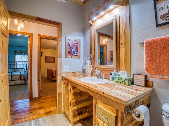23660 Cap Endres Rd NE, Cass Lake, MN 56633 - bathroom featuring wood finished floors, vanity, and toilet