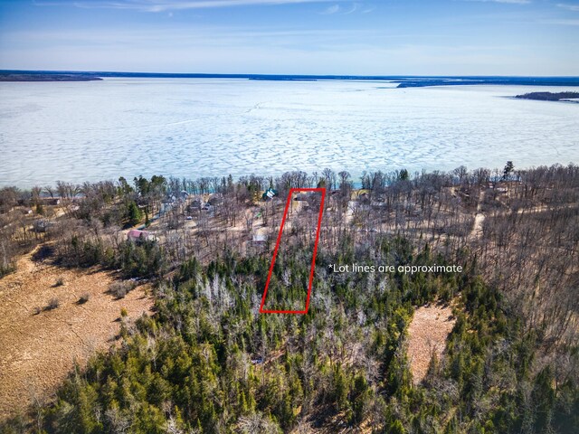 23660 Cap Endres Rd NE, Cass Lake, MN 56633 - view of property location featuring a nearby body of water and property boundaries highlighted