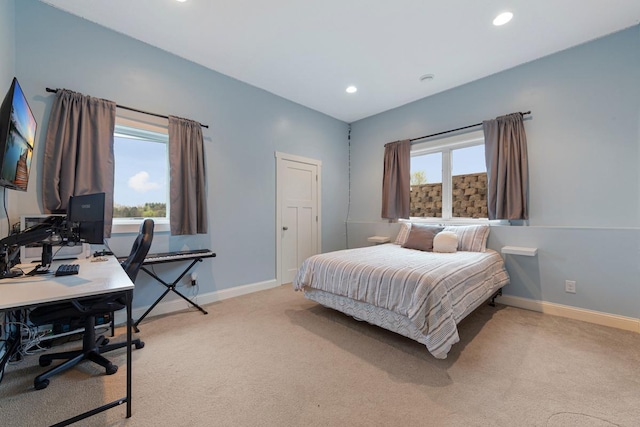 6570 Chester Ave, Webster Twp, MN 55057 - bedroom featuring recessed lighting, baseboards, and light carpet