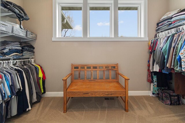 6570 Chester Ave, Webster Twp, MN 55057 - spacious closet featuring carpet flooring