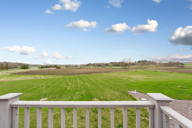 6570 Chester Ave, Webster Twp, MN 55057 - view of yard with a rural view