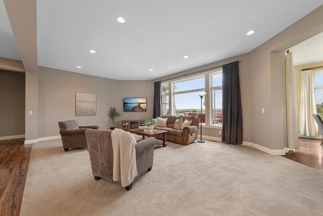 6570 Chester Ave, Webster Twp, MN 55057 - living room with baseboards, light carpet, and recessed lighting