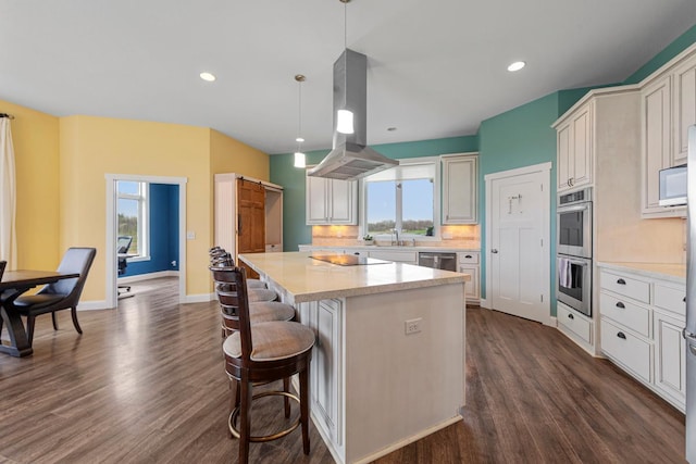 6570 Chester Ave, Webster Twp, MN 55057 - kitchen with island range hood, stainless steel appliances, dark wood finished floors, a center island, and a breakfast bar area
