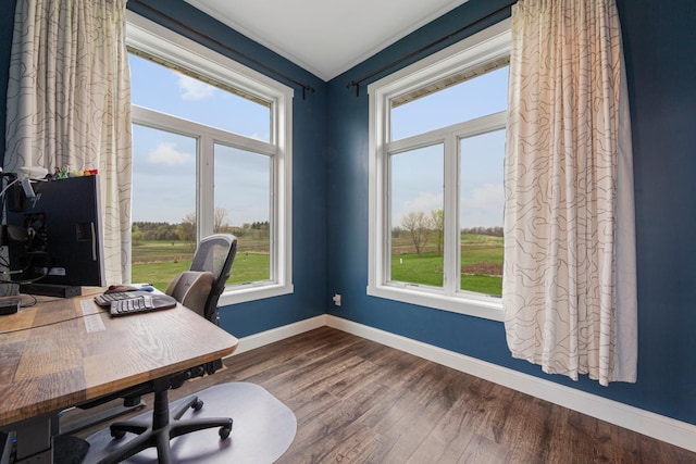 6570 Chester Ave, Webster Twp, MN 55057 - office area featuring plenty of natural light and dark wood-style floors