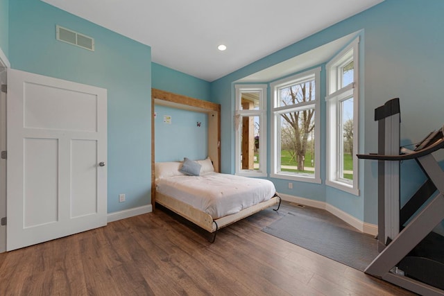 6570 Chester Ave, Webster Twp, MN 55057 - bedroom with multiple windows, wood finished floors, and recessed lighting