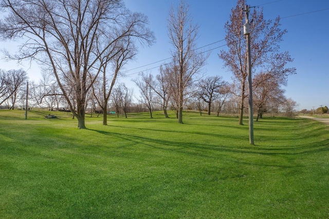 6570 Chester Ave, Webster Twp, MN 55057 - view of property's community with a lawn