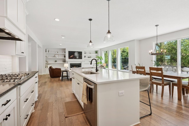 kitchen with a healthy amount of sunlight, stainless steel appliances, a sink, and a lit fireplace