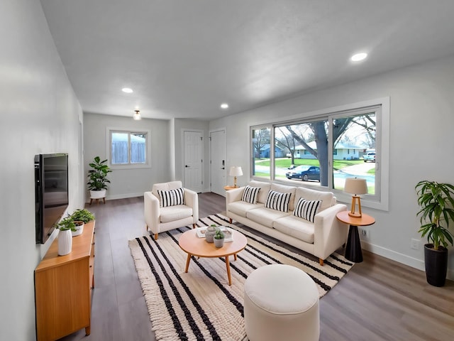 11601 Wren St NW, Coon Rapids, MN 55433 - living room with recessed lighting, baseboards, and wood finished floors