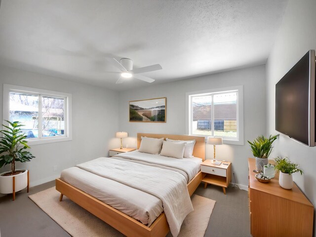 11601 Wren St NW, Coon Rapids, MN 55433 - bedroom with multiple windows, baseboards, and ceiling fan