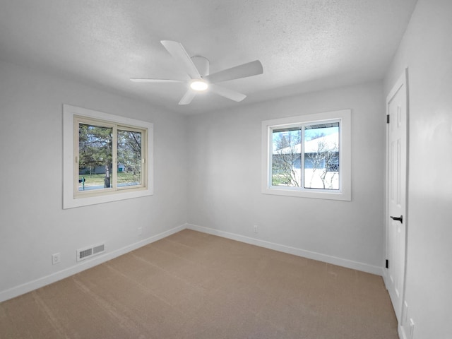 11601 Wren St NW, Coon Rapids, MN 55433 - unfurnished room with plenty of natural light, a textured ceiling, light colored carpet, and baseboards