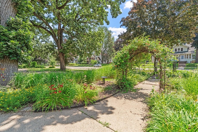 1437 Como Ave, Saint Paul, MN 55108 - photo 5