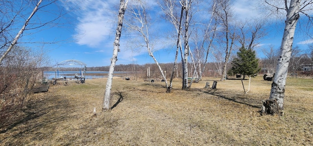 30280 County Highway 26, Holmesville Twp, MN 56501 - view of yard featuring a water view