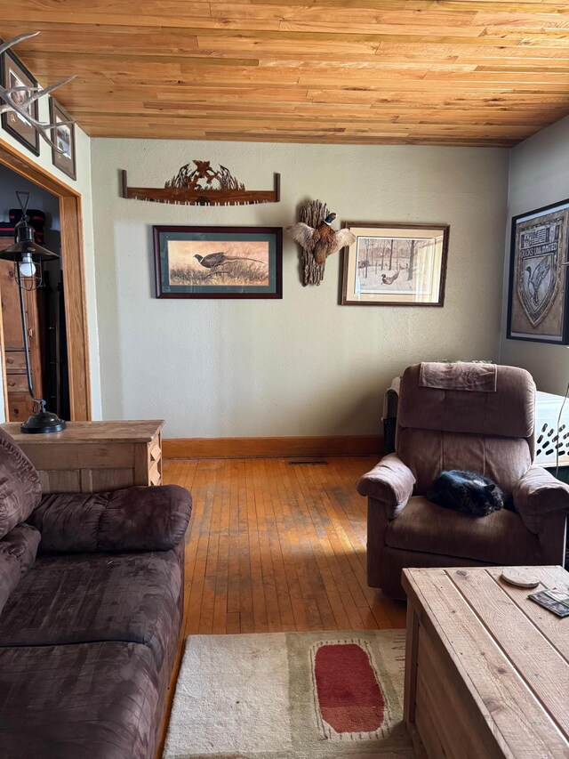 601 Maplewood Dr SE, Pelican Rapids, MN 56572 - living room with wood ceiling, wood-type flooring, and baseboards